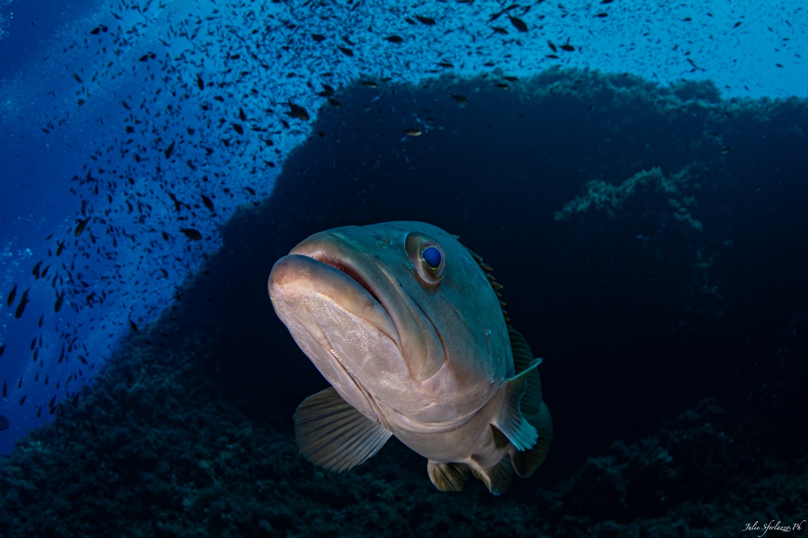 Respirazione consapevole